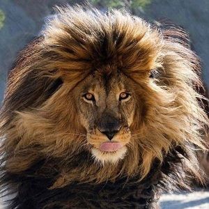 Meet your Posher, Karean